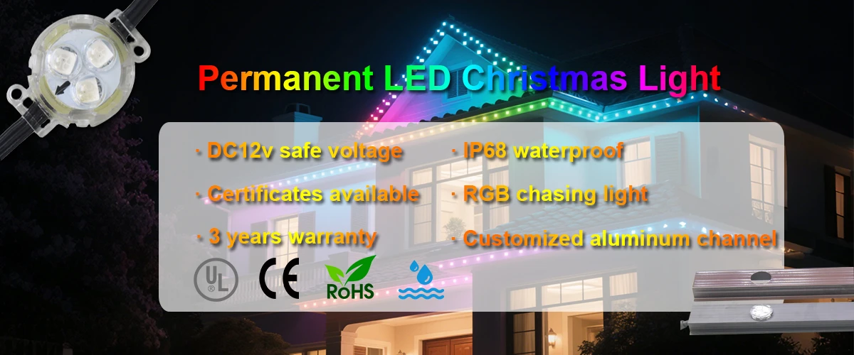 permanent led christmas lights